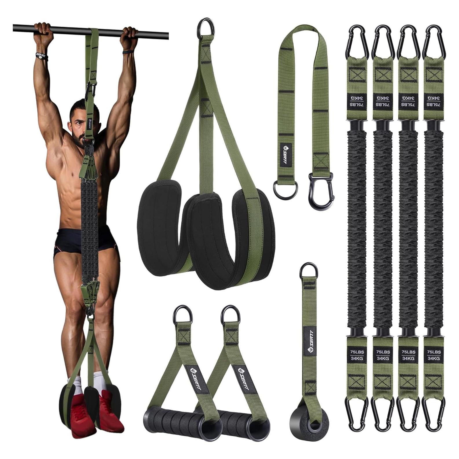 Bandas de Asistencia para Dominadas SERTT 4 Niveles 136 kg