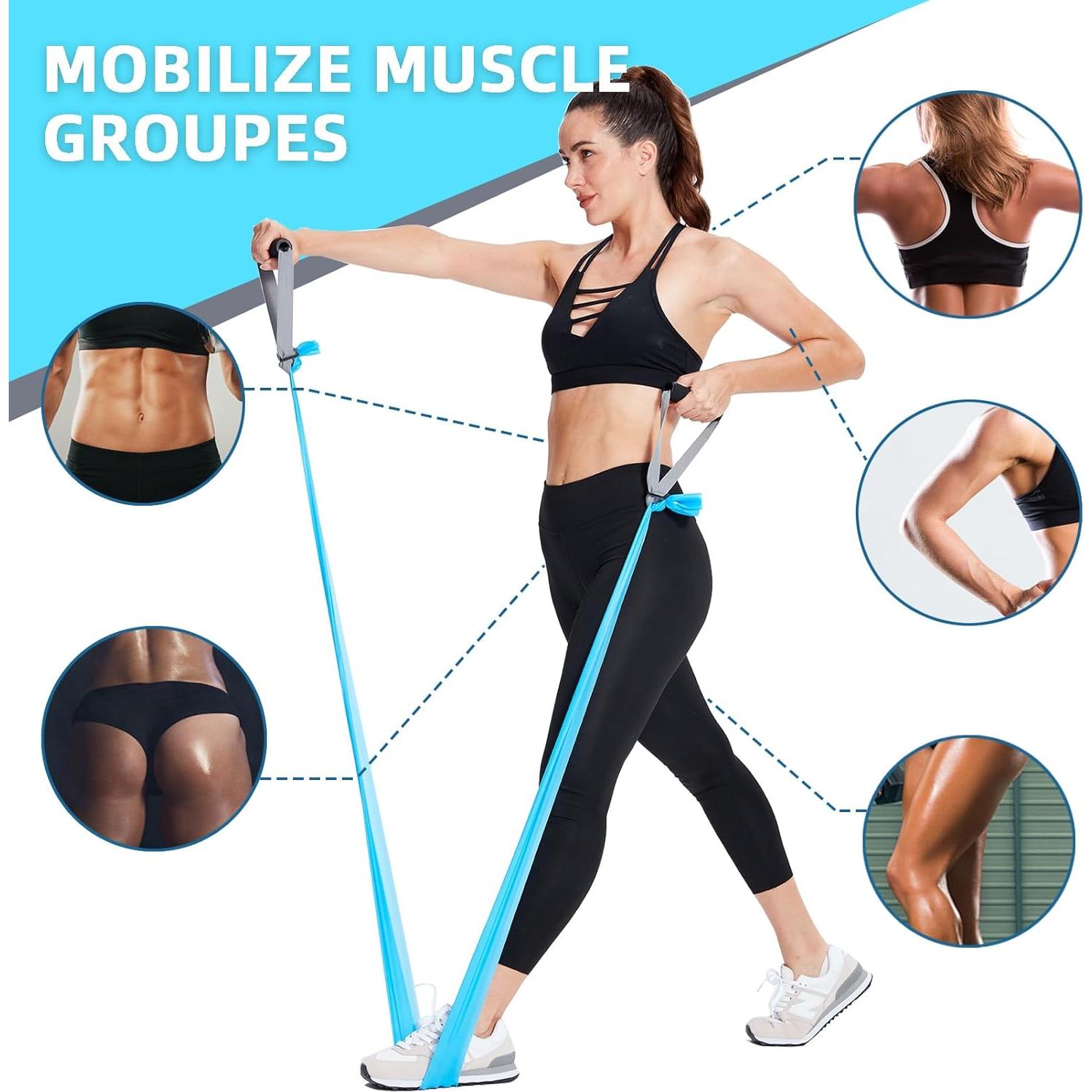 Professional Resistance Bands. Latex-Free, Work Out Bands, Stretch Bands for Working Out Women or Men, Exercise Bands Set for Physical Therapy (Colour Set (5-30lbs) - Includes Accessories)