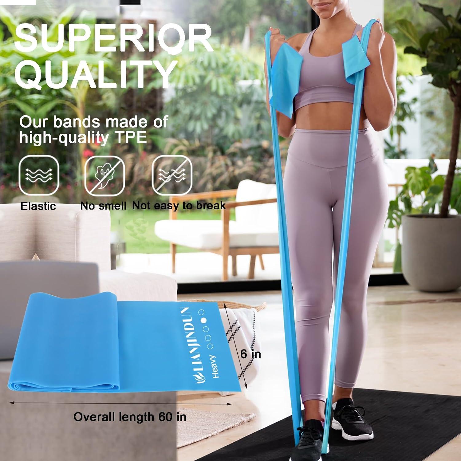 Professional Resistance Bands. Latex-Free, Work Out Bands, Stretch Bands for Working Out Women or Men, Exercise Bands Set for Physical Therapy (Colour Set (5-30lbs) - Includes Accessories)