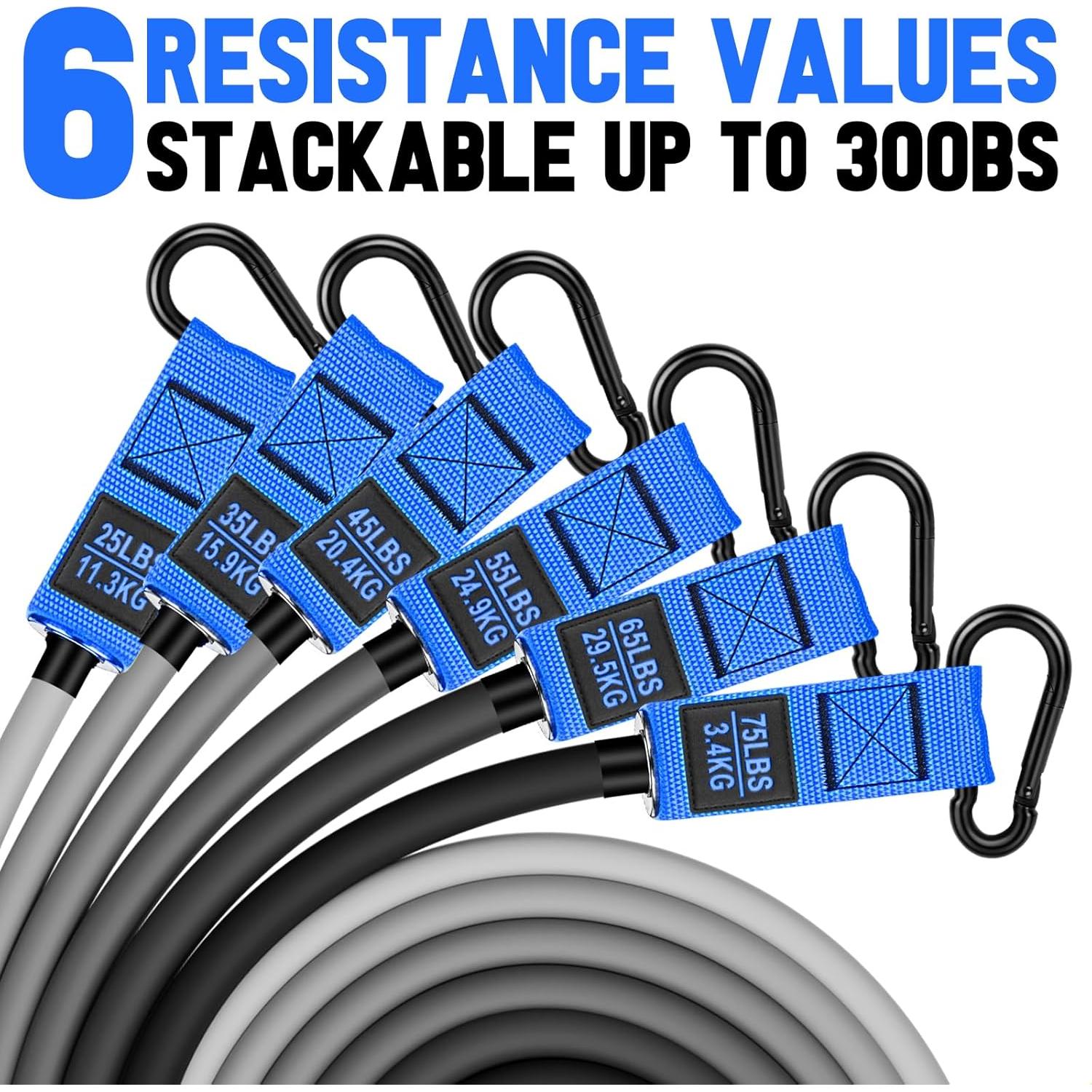 Bandas de Resistencia Pesadas BesBiu 300lbs con Mangos y Accesorios