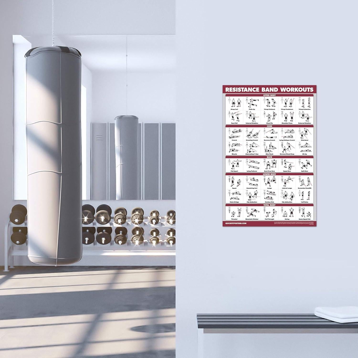 Posters de Ejercicio con Bandas de Resistencia - Palace Learning - 4 Piezas Laminadas