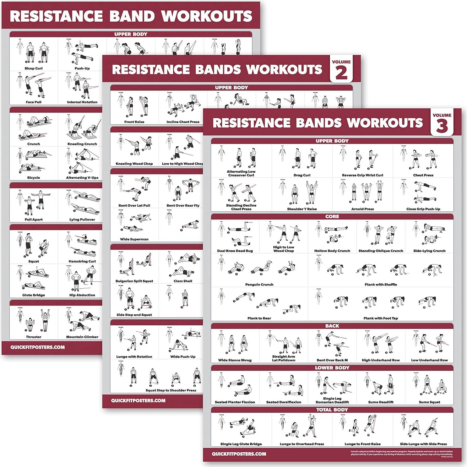 Posters de Ejercicio con Bandas de Resistencia - Palace Learning - 4 Piezas Laminadas