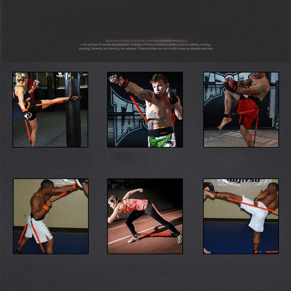 Banda de Resistencia Sunsign ZLD-202 para Boxeo y Fitness