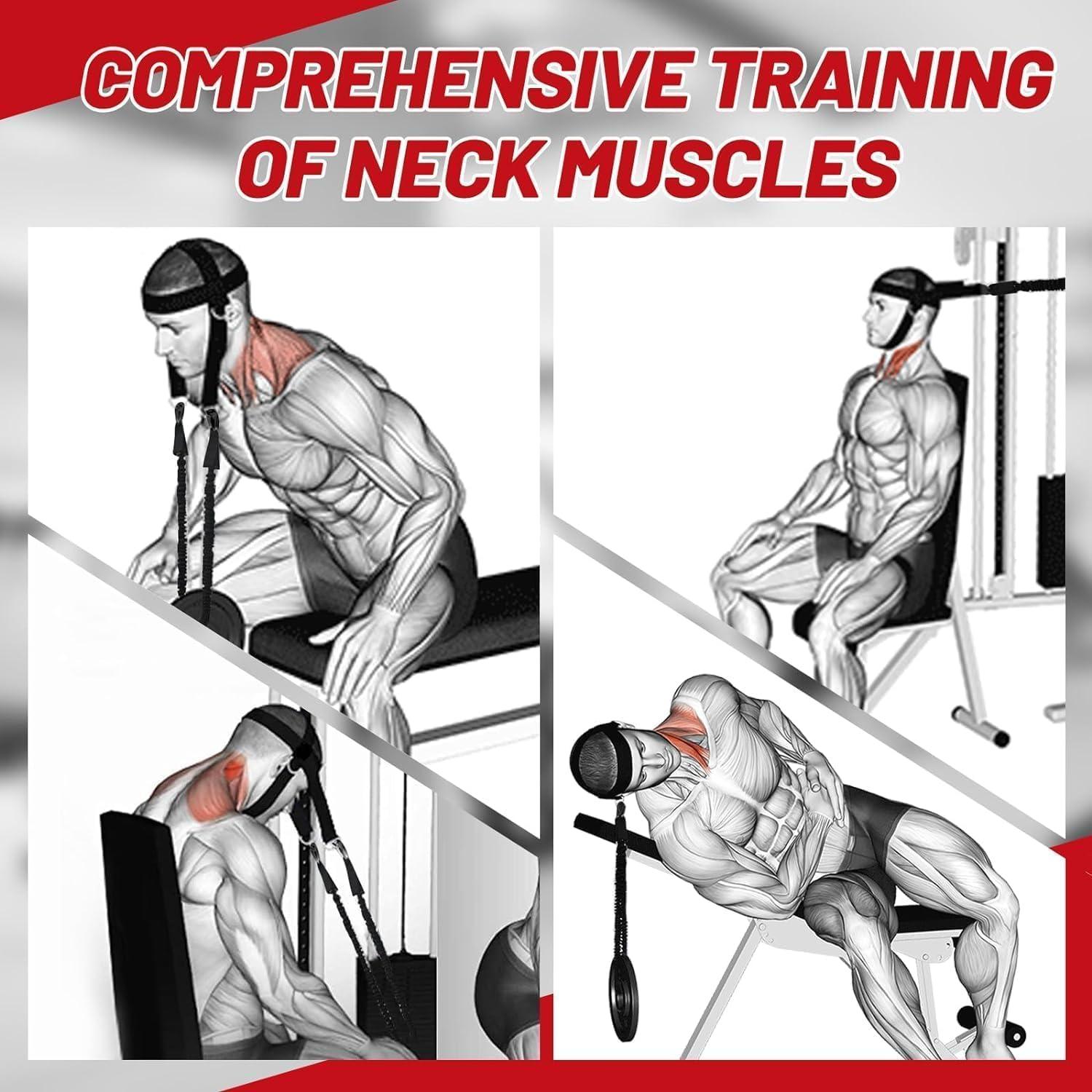 Arnés para Cuello WKWE Ajustable con Cadena de Acero 99 cm