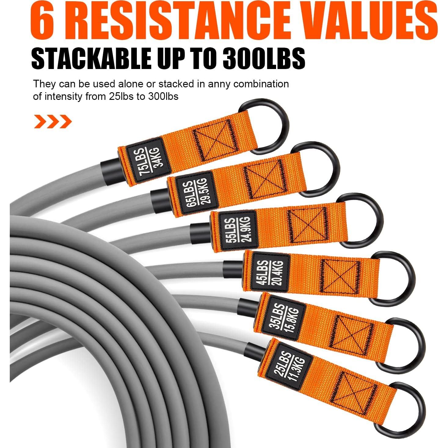 Bandas de Resistencia HPYGN 300LBS para Entrenamiento Muscular