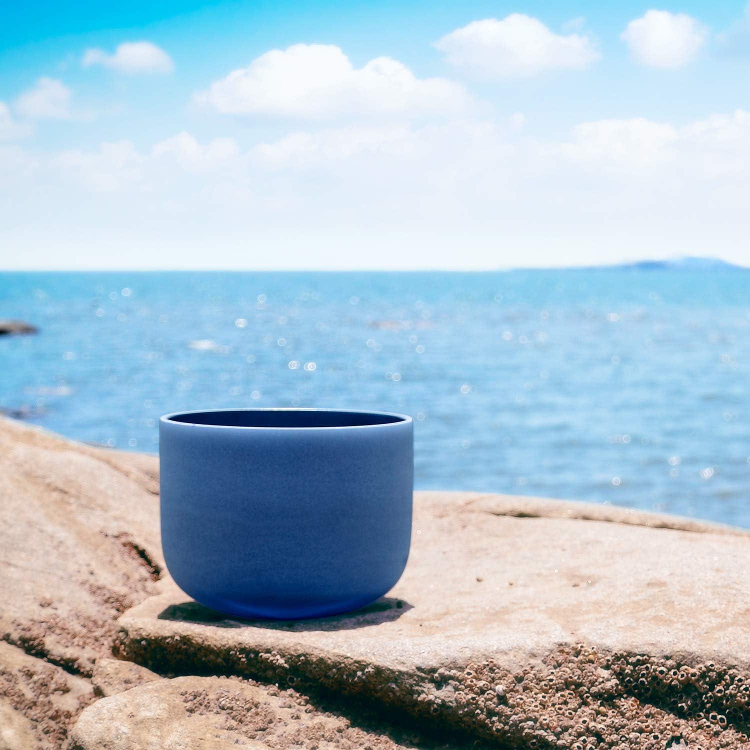 Cuenco de Canto de Cristal TOPFUND 20 cm Índigo 440 Hz con Funda