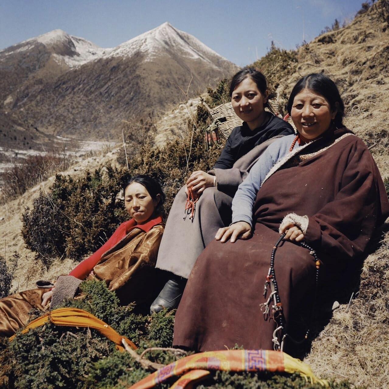 Collar Mala de Obsidiana Negra con Brillo Dorado 108 Cuentas 6mm