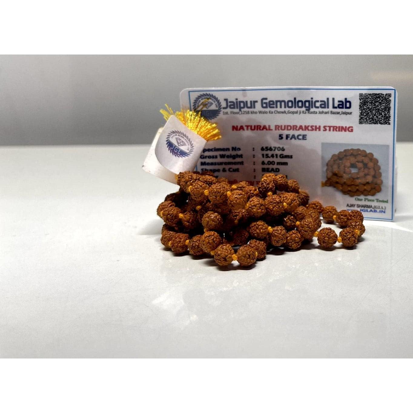 Mala de Rudraksha 5 Mukhi Certificada 108+1 Cuentas 5mm