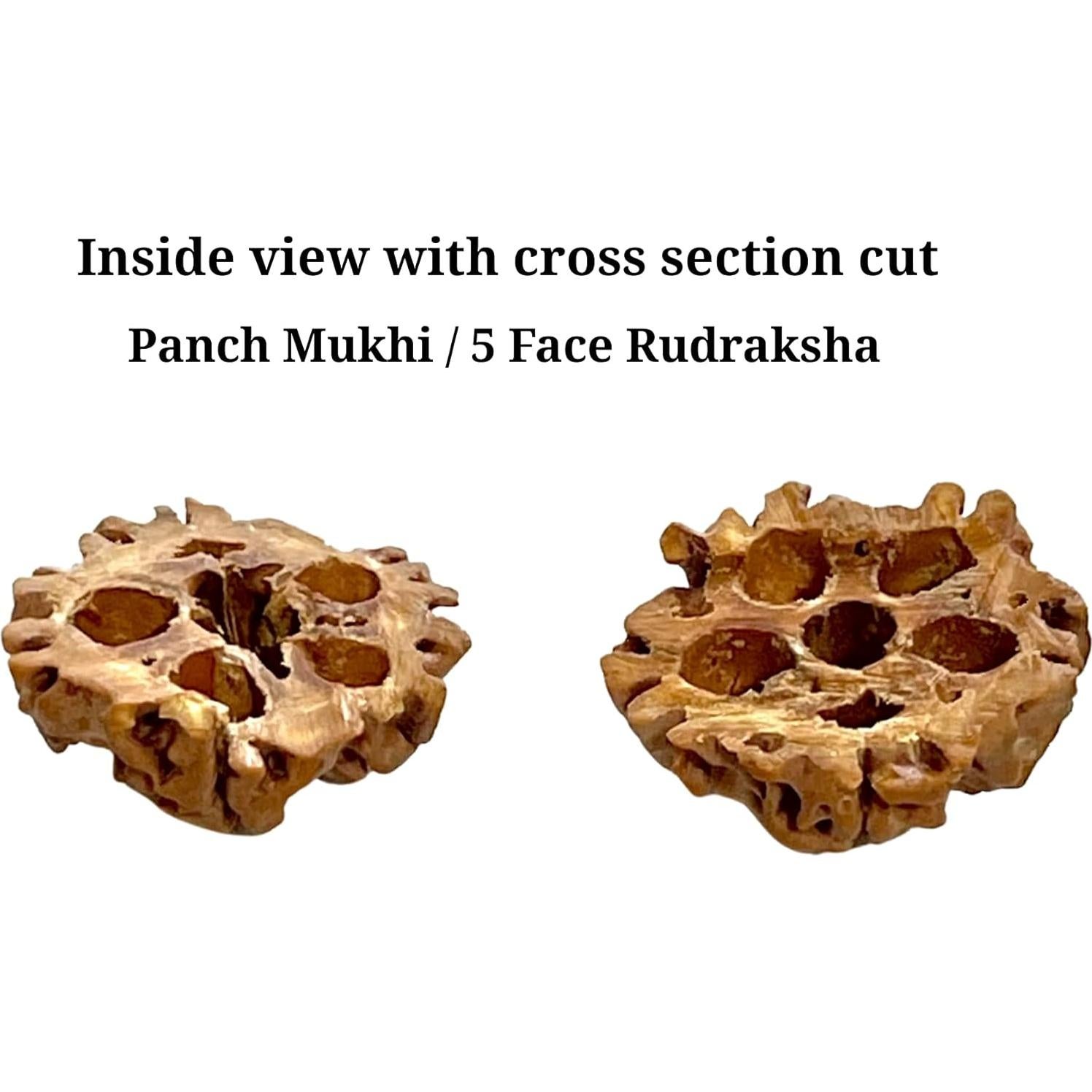 Collar mala de Rudraksha Z Zillion Craft 108 cuentas 68.58 cm