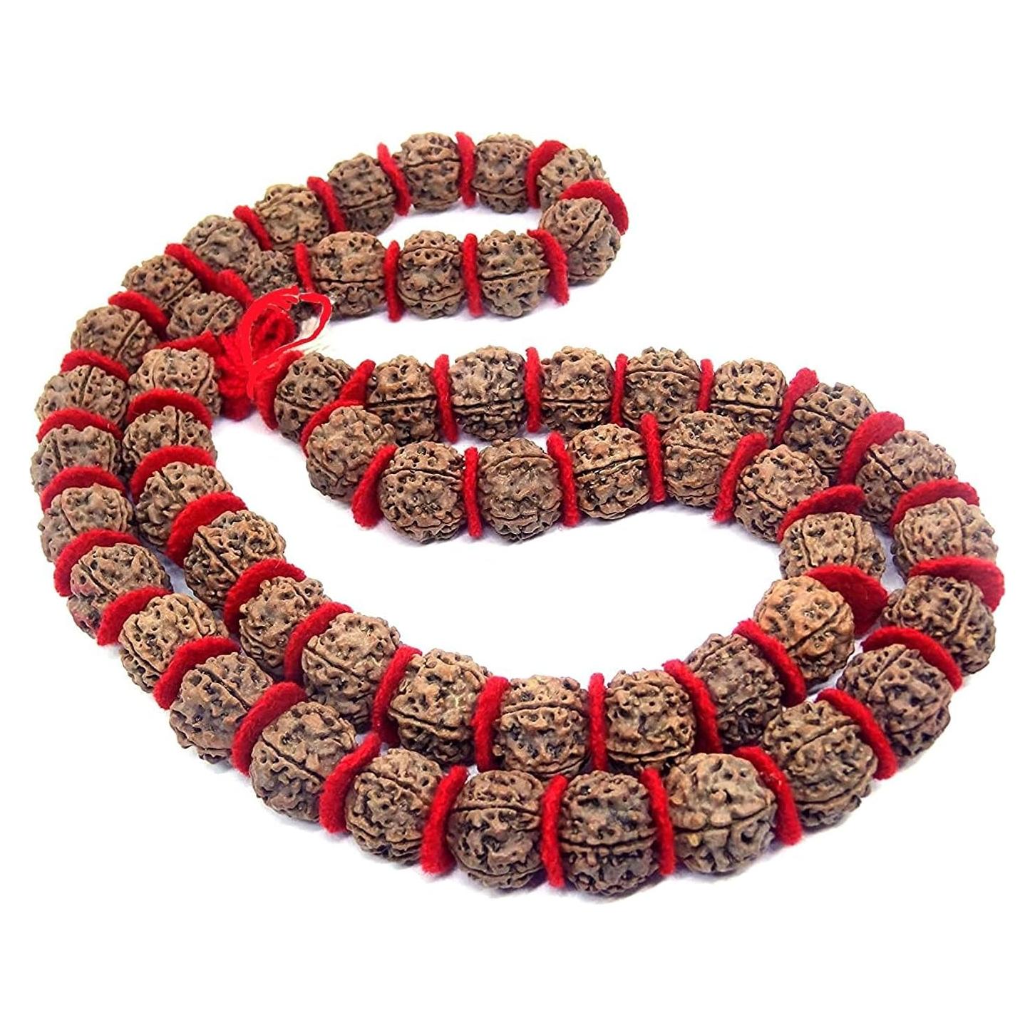 Mala de Rudraksha 5 Mukhi Grande 20mm Nepal 54+1 cuentas