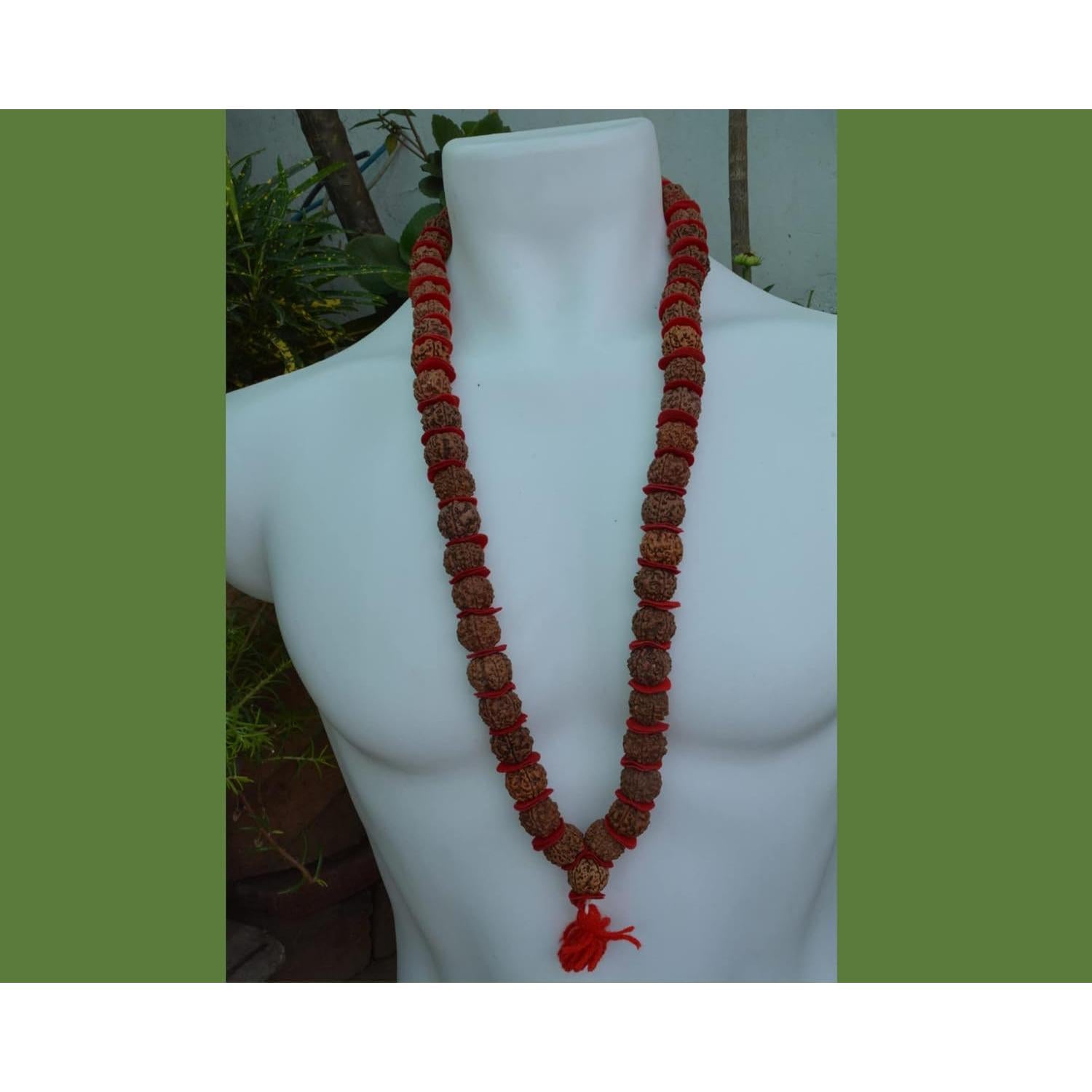 Mala de Rudraksha 5 Mukhi Grande 20mm Nepal 54+1 cuentas