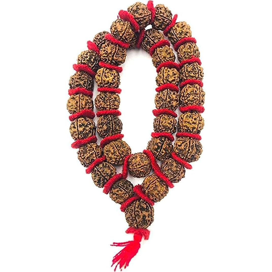 Mala de Rudraksha 5 Mukhi Grande 20mm Nepal 54+1 cuentas