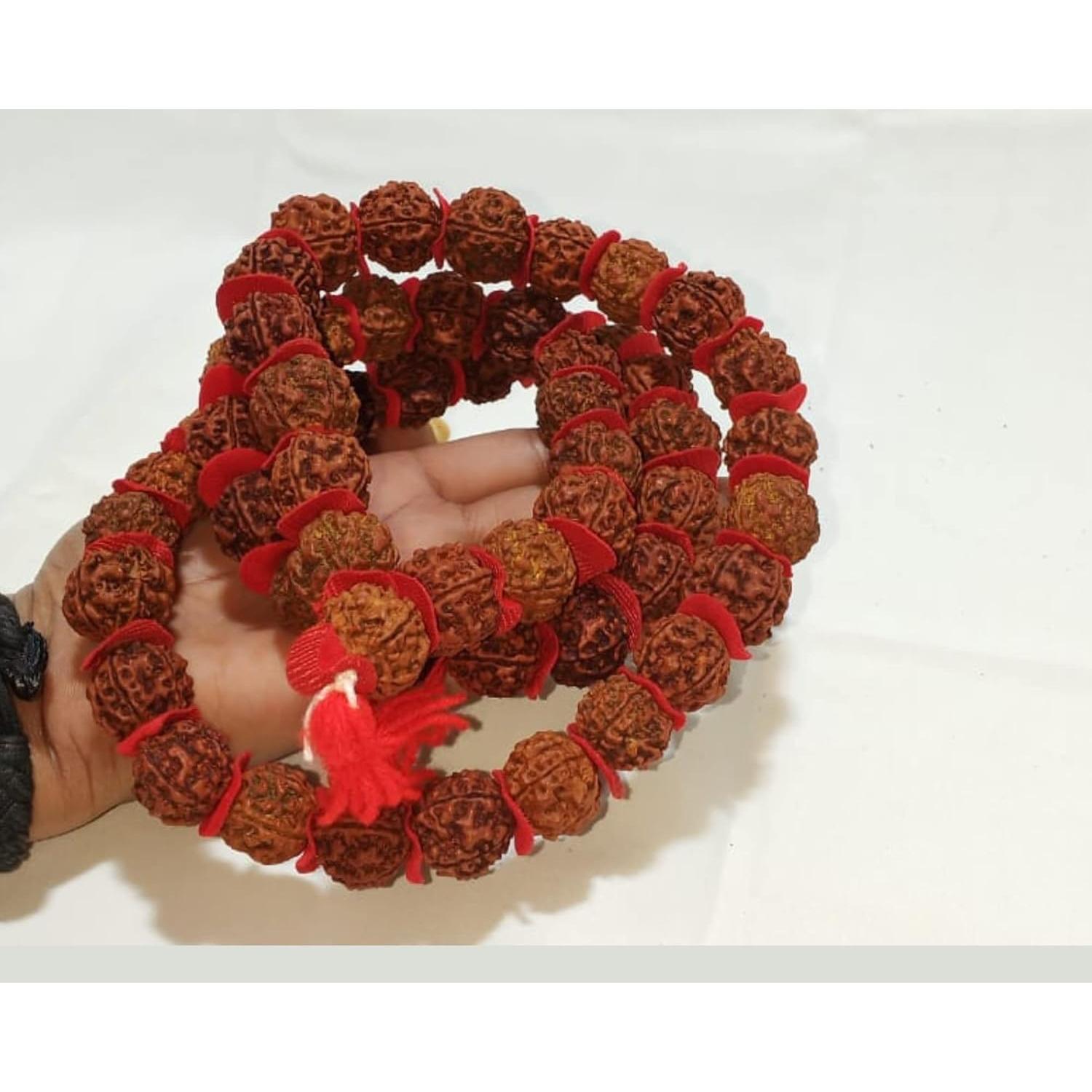 Mala de Rudraksha 5 Mukhi Grande 20mm Nepal 54+1 cuentas