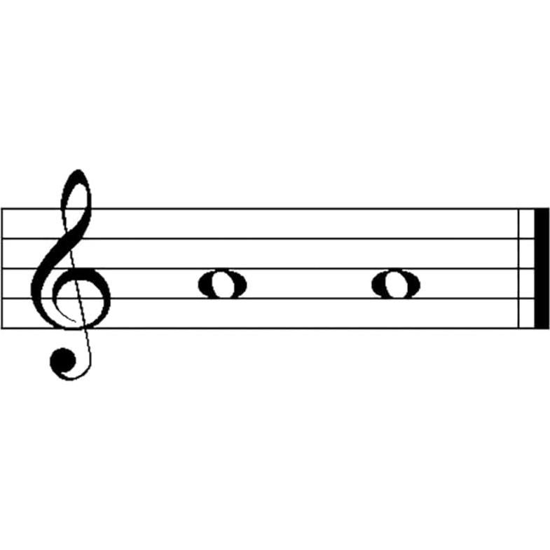 Campana de Mano Woodstock Zenergy Duo 19.05 cm 2 Tonos