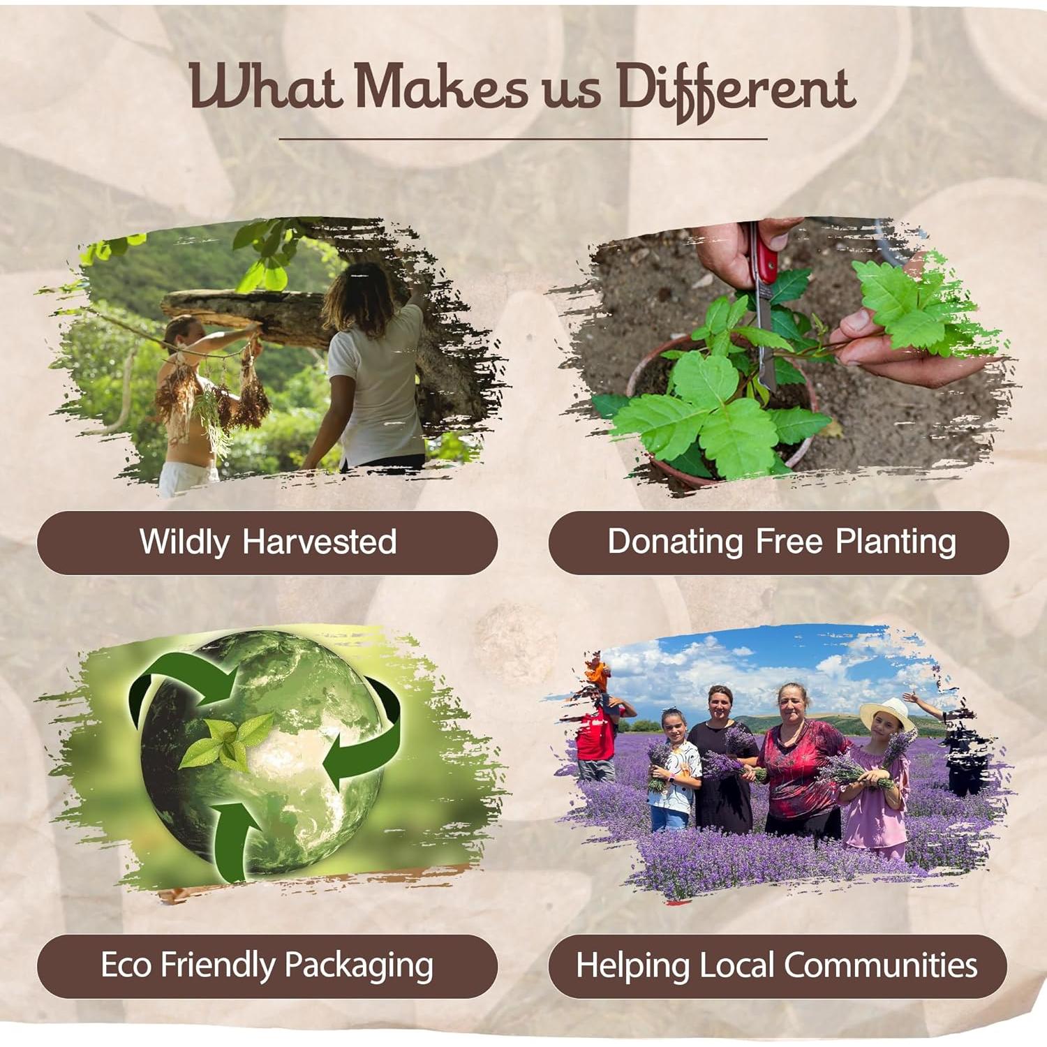 Incensario Triangular Sagrada Madre de Concreto 19 cm