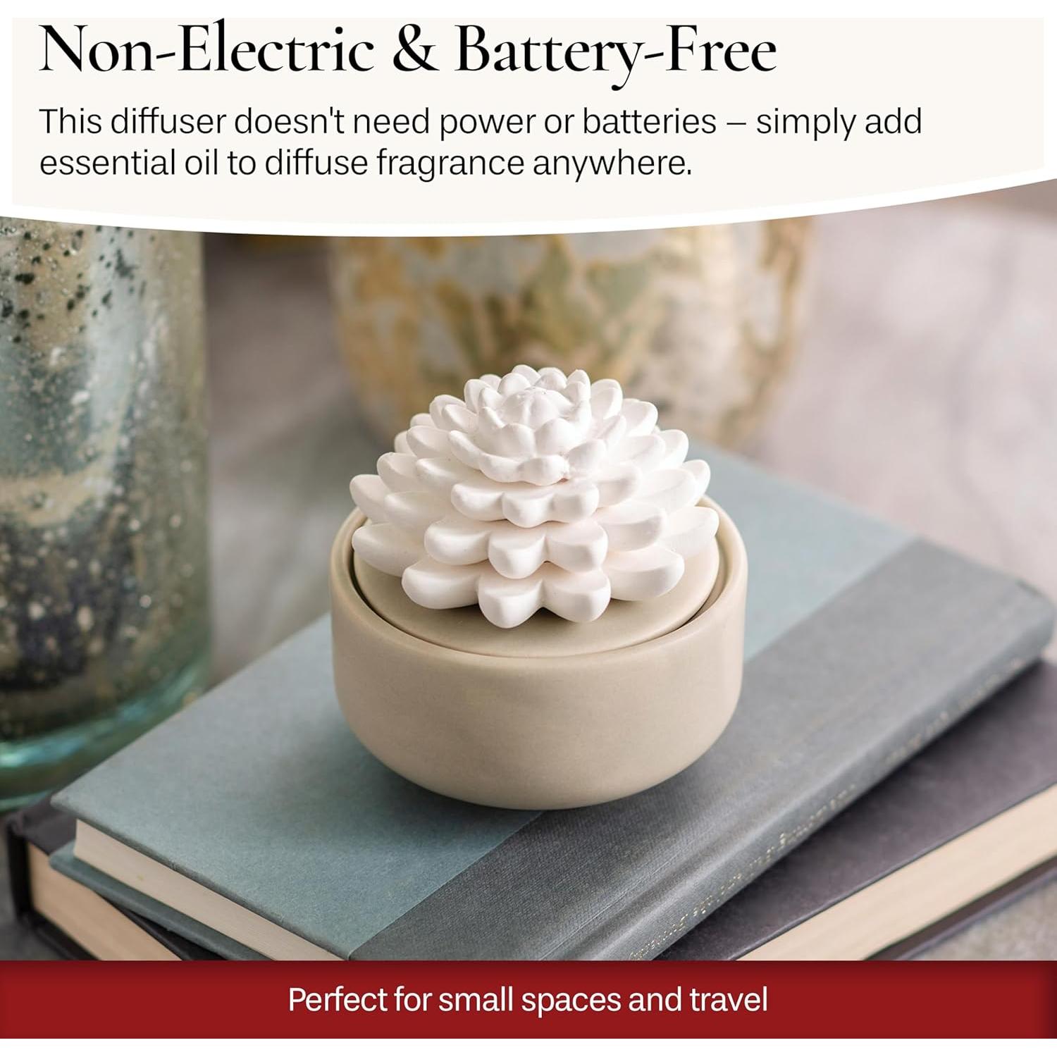 Difusor de Aceite Esencial Airomé Blanco Suculento 15ml Menta