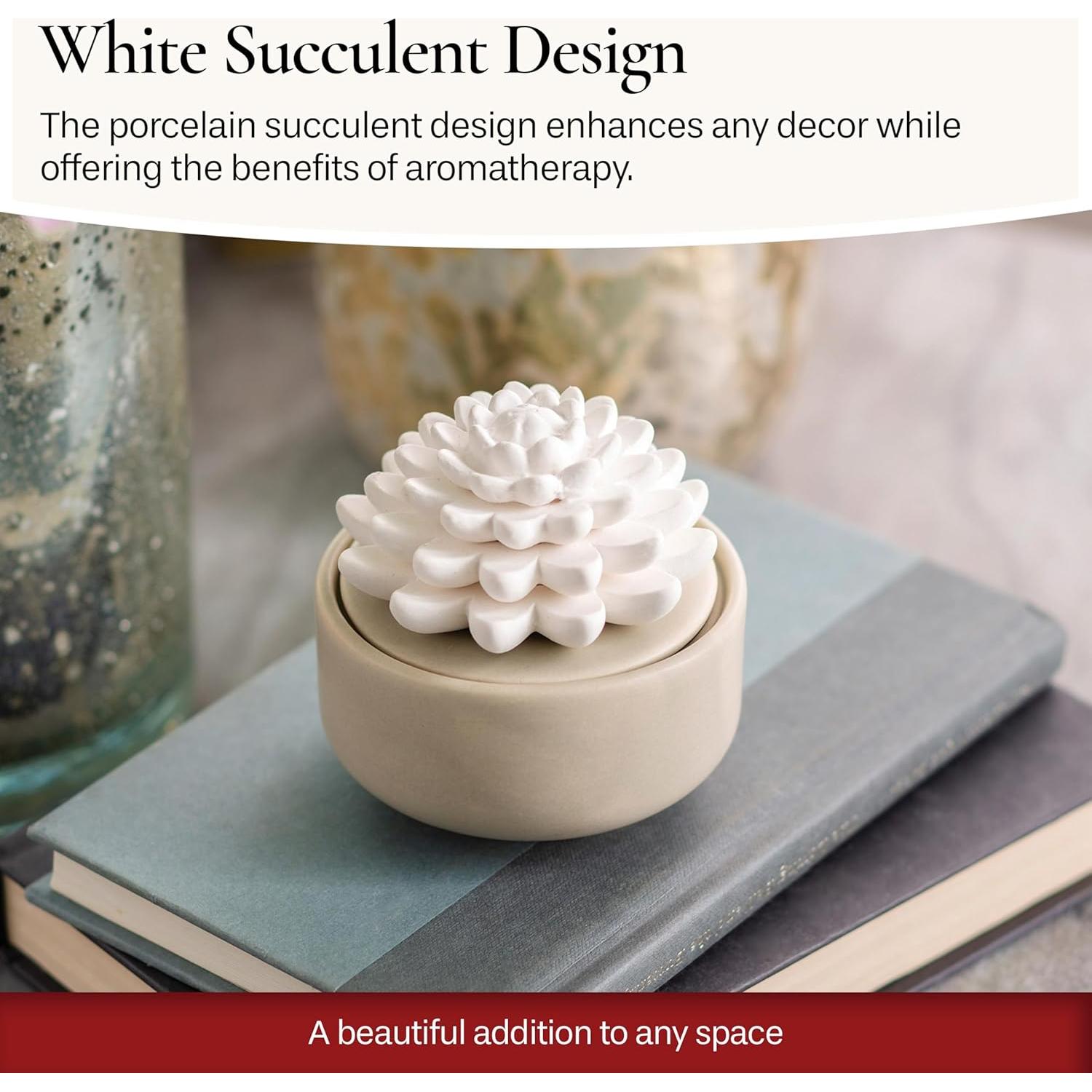 Difusor de Aceite Esencial Airomé Blanco Suculento 15ml Menta