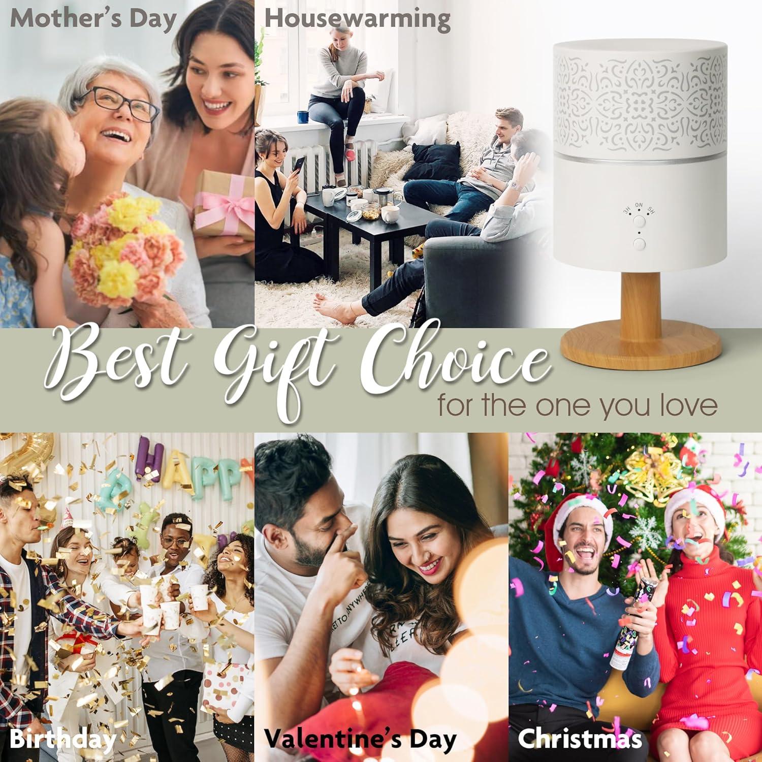 Difusor de Aceite Esencial Earnest Living 260ml Aromaterapia