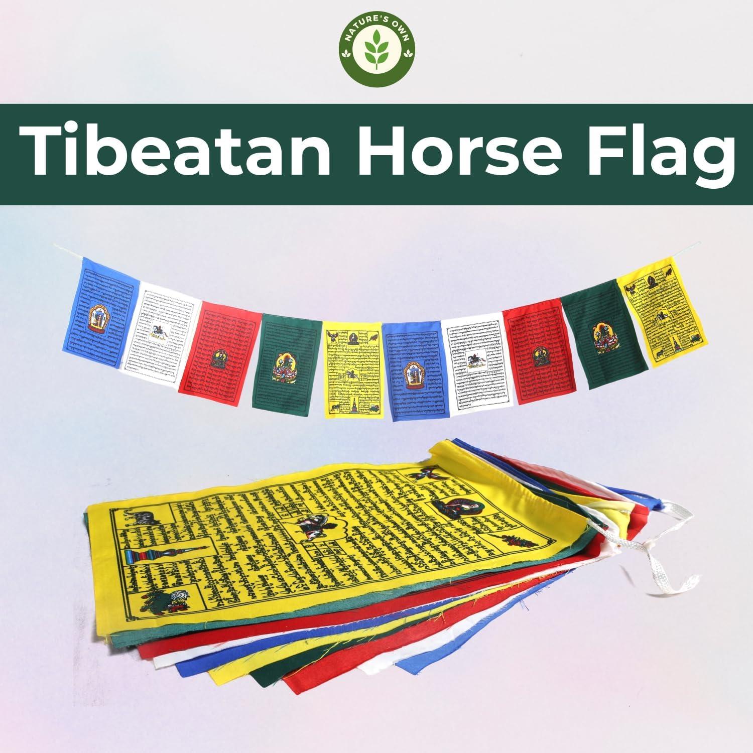 Conjunto de 10 Banderas de Oración Tibetanas 23x33cm - Lung Ta