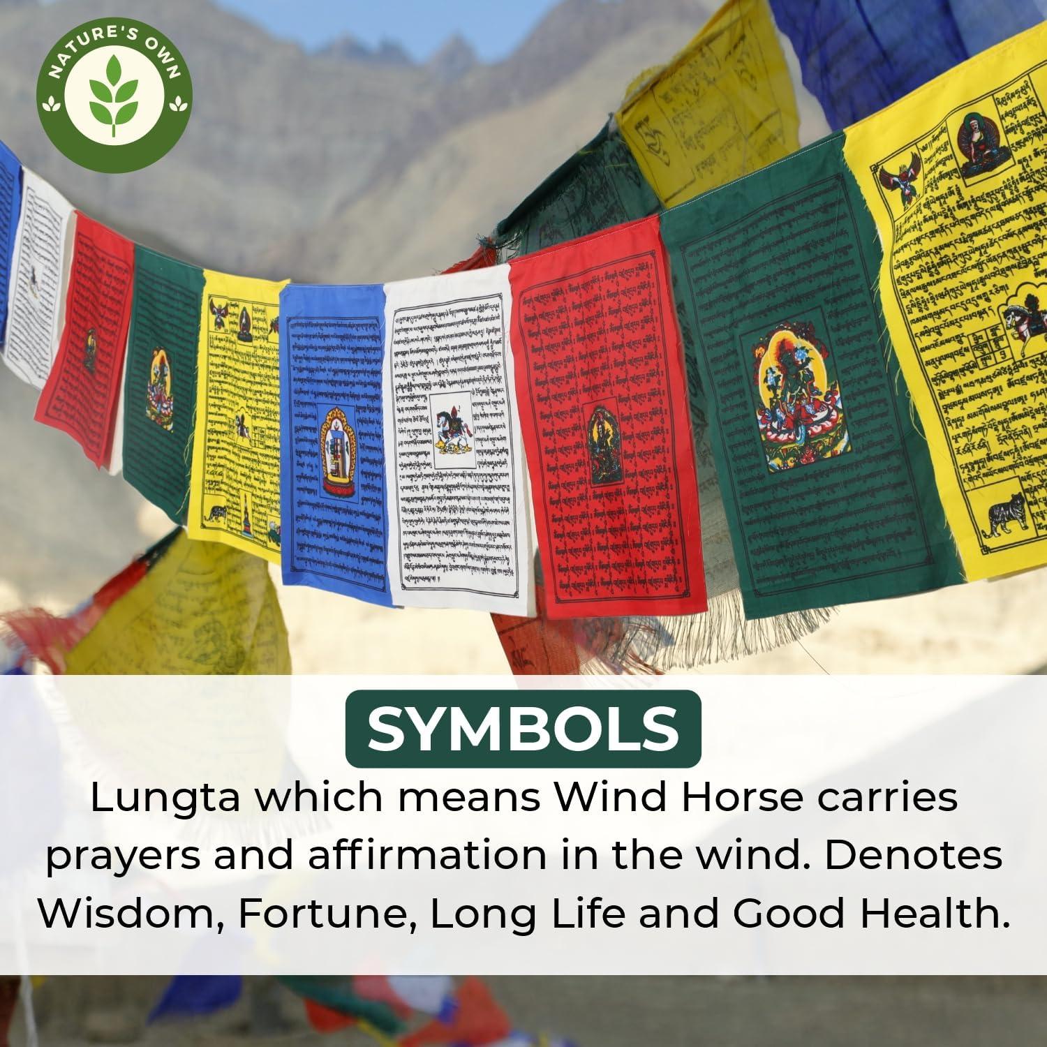 Conjunto de 10 Banderas de Oración Tibetanas 23x33cm - Lung Ta