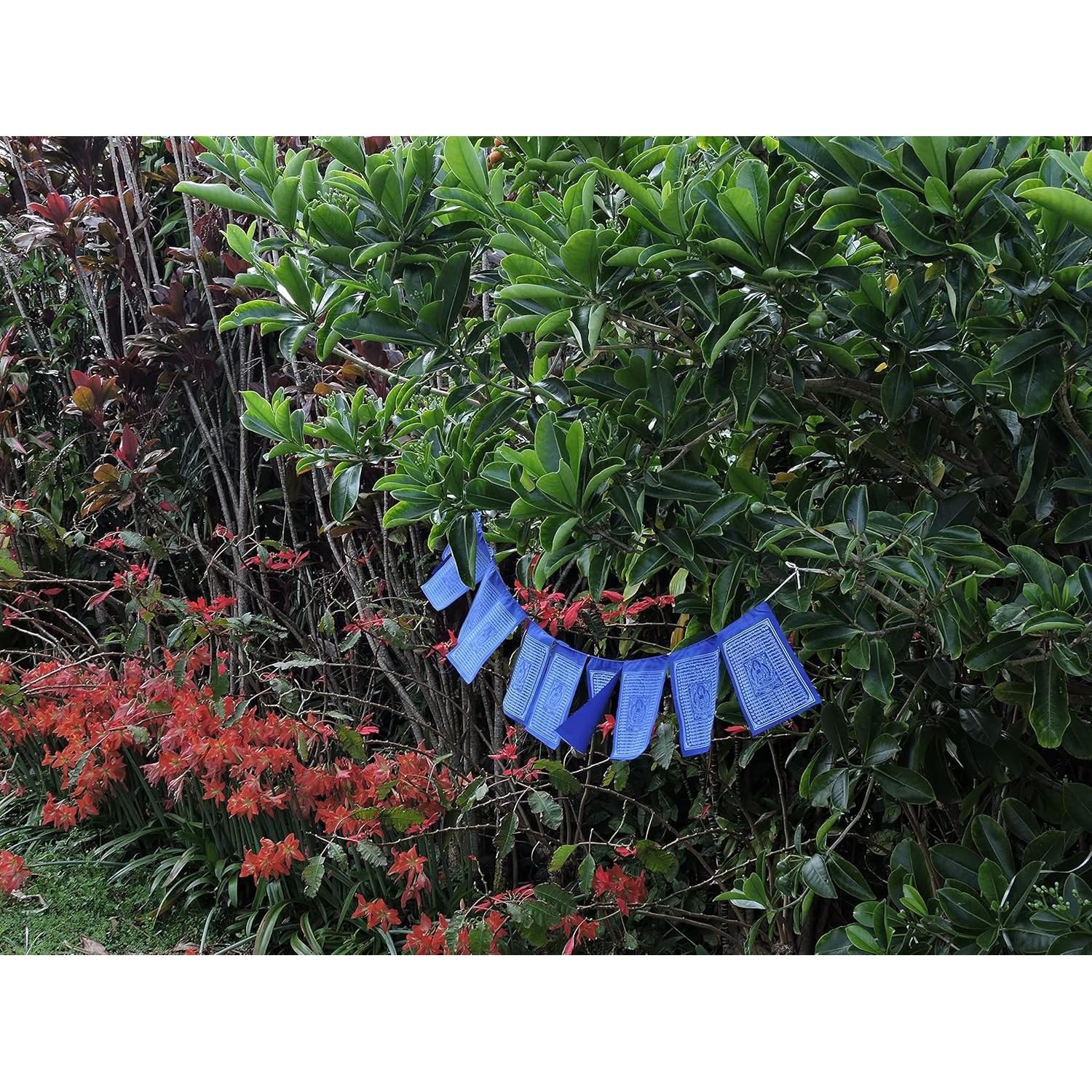 Banderas de Oración del Buda de Medicina Tibetanas 20x20cm