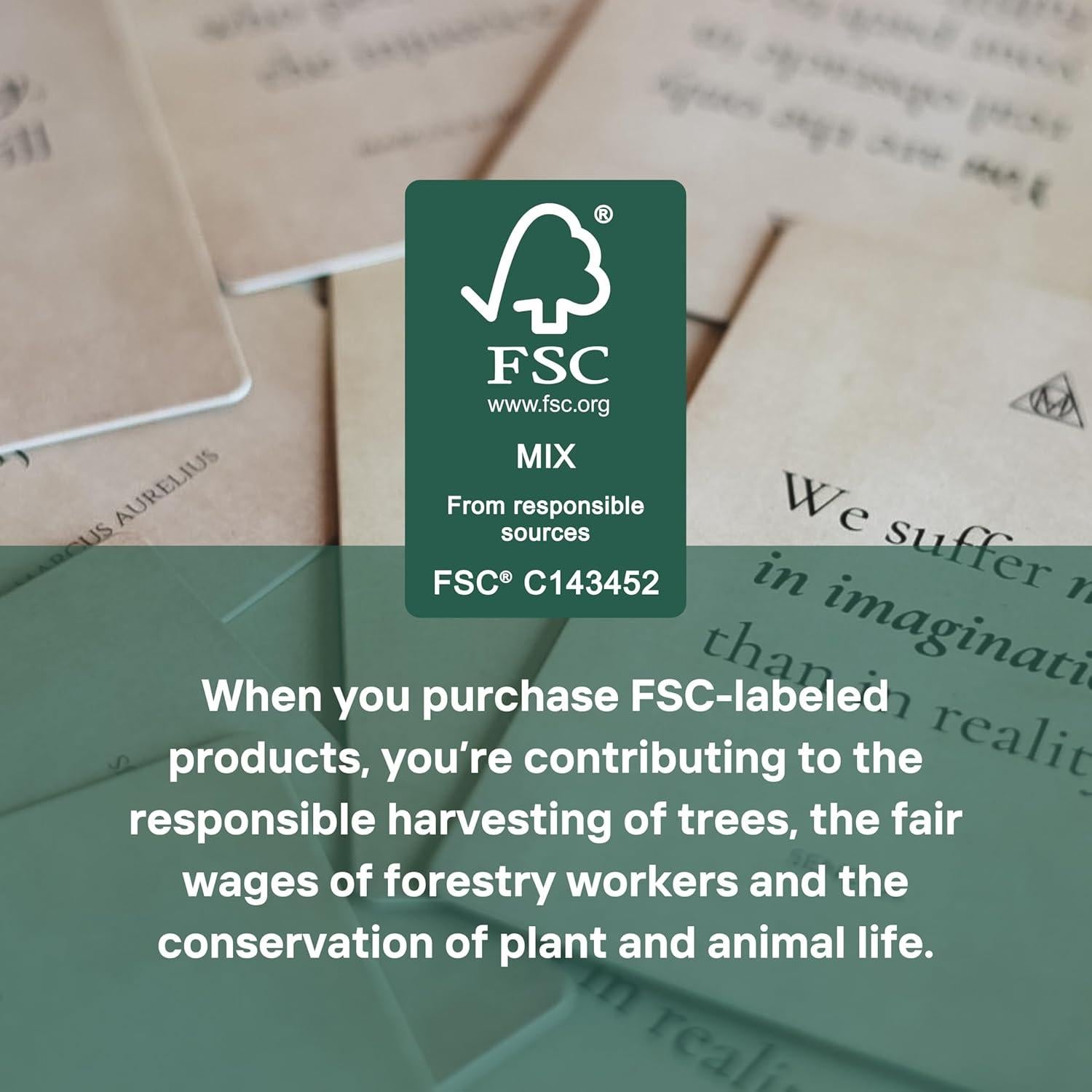 El Mazo del Filósofo - 52 Tarjetas Motivacionales Estoicas