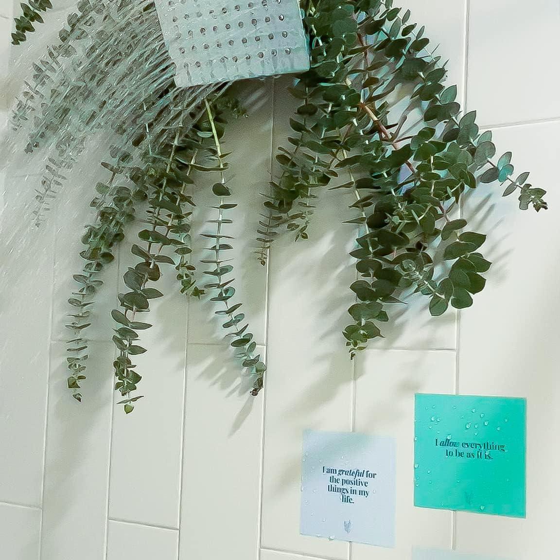 Tarjetas de Afirmación Impermeables Cuidado Personal Ducha 14 Citas