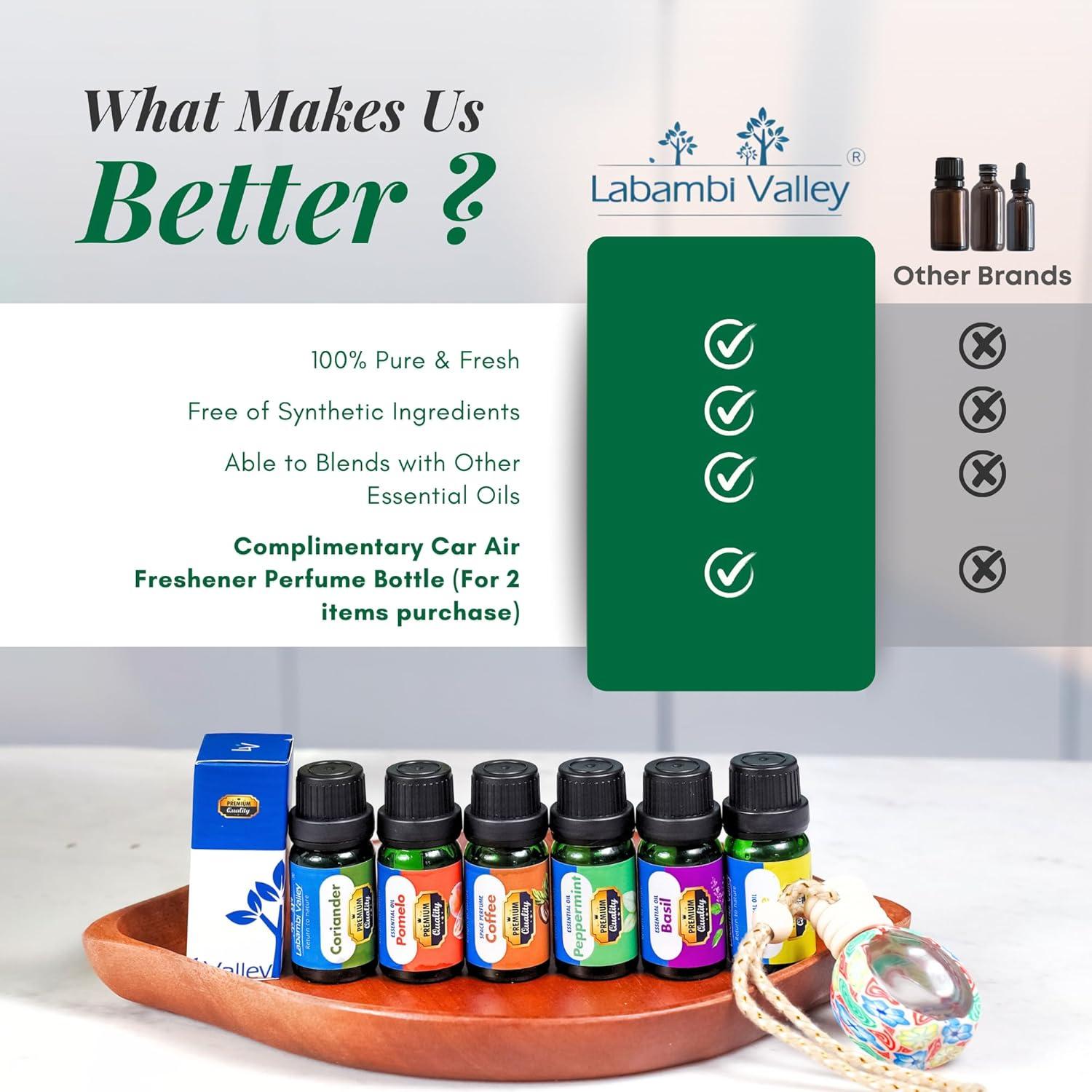 Aceite Esencial Puro Cilantro 10ml Labambi Valley - Aromaterapia