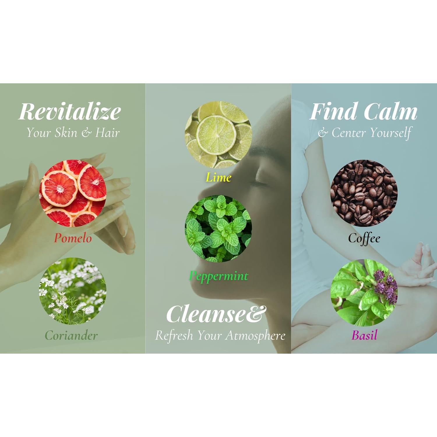 Aceite Esencial Puro Cilantro 10ml Labambi Valley - Aromaterapia