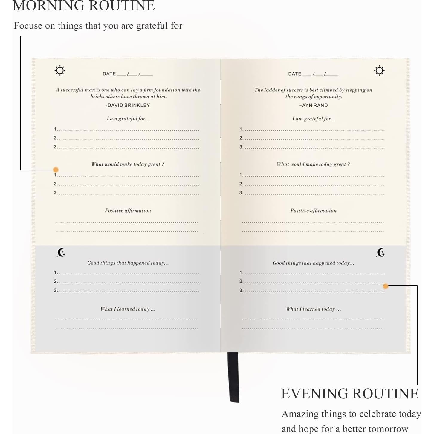 Diario de Gratitud GOSSIP FOX Beige - No Datado, 6 Meses