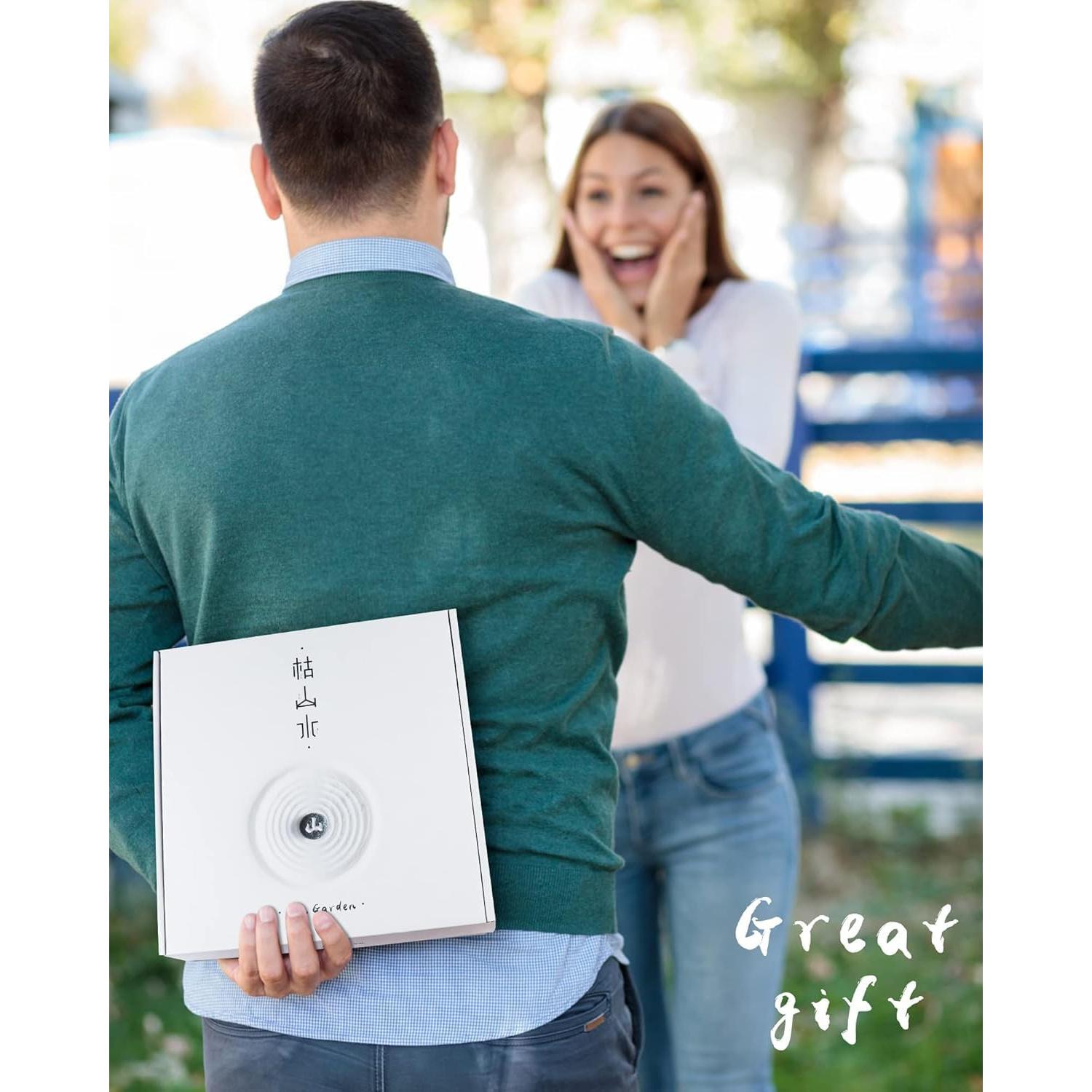 Jardín Zen Japonés Melonva para Escritorio 25x25cm