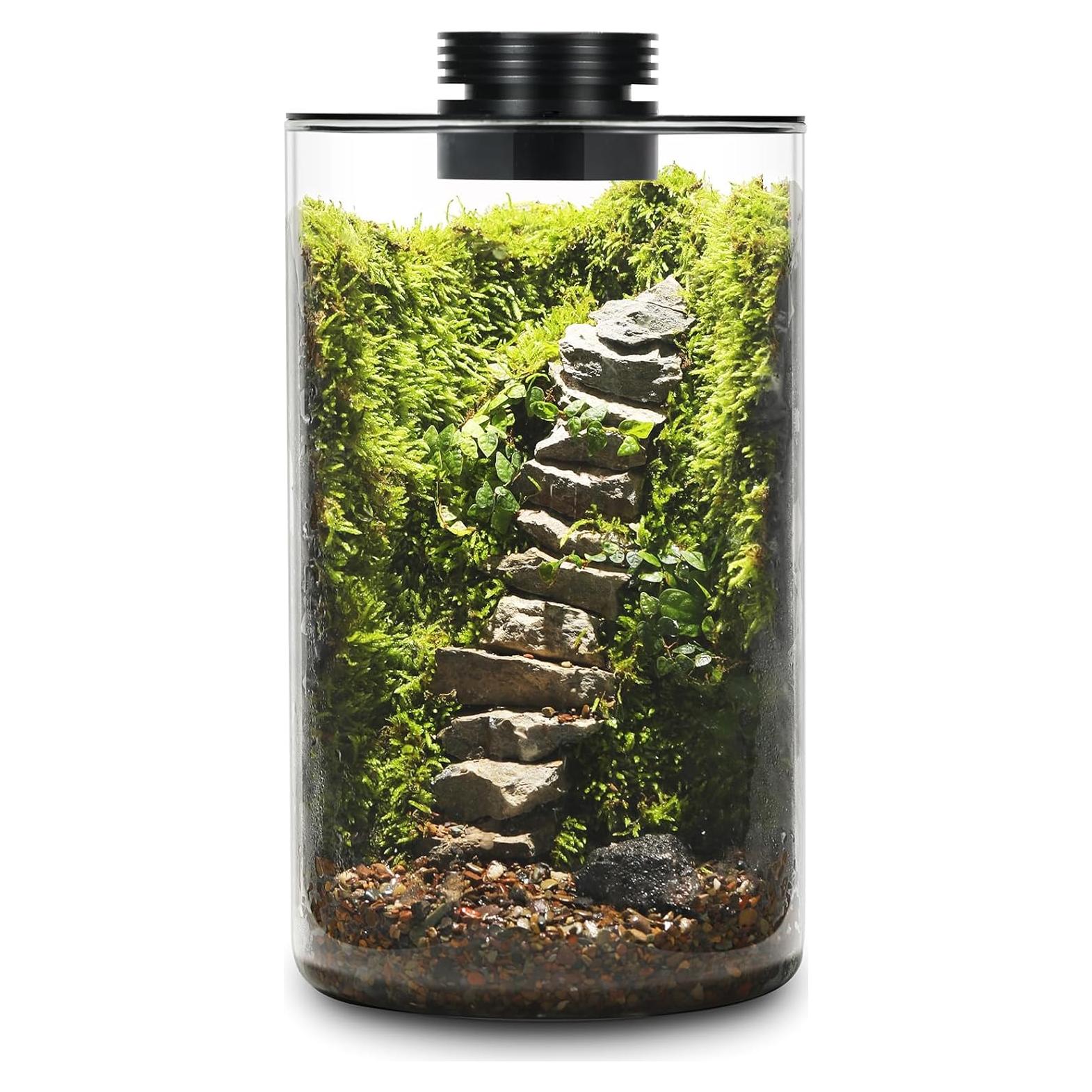 Terrario de Vidrio AREPK con Luz de Crecimiento 24.9 cm