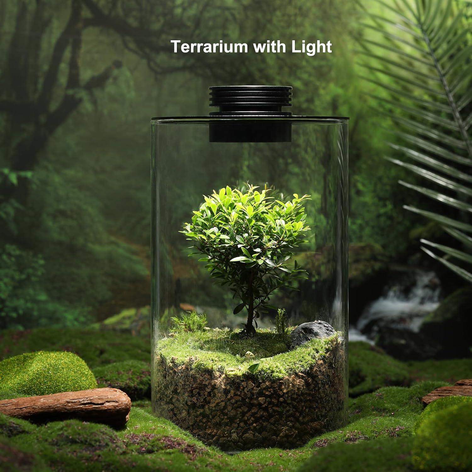 Terrario de Vidrio AREPK con Luz de Crecimiento 24.9 cm