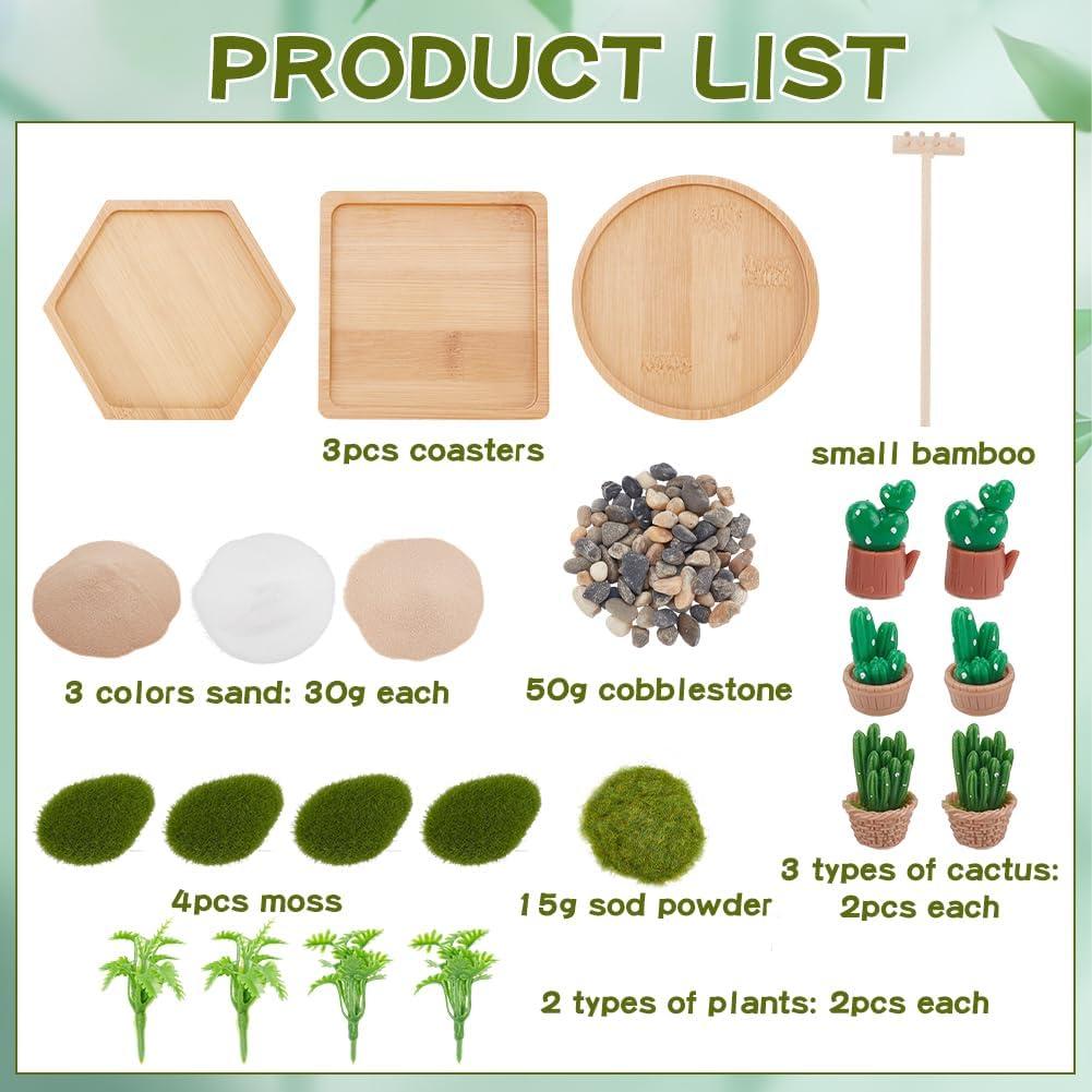 Kit Jardín Zen Desértico WEBEEDY 3 Piezas Decoración Oficina