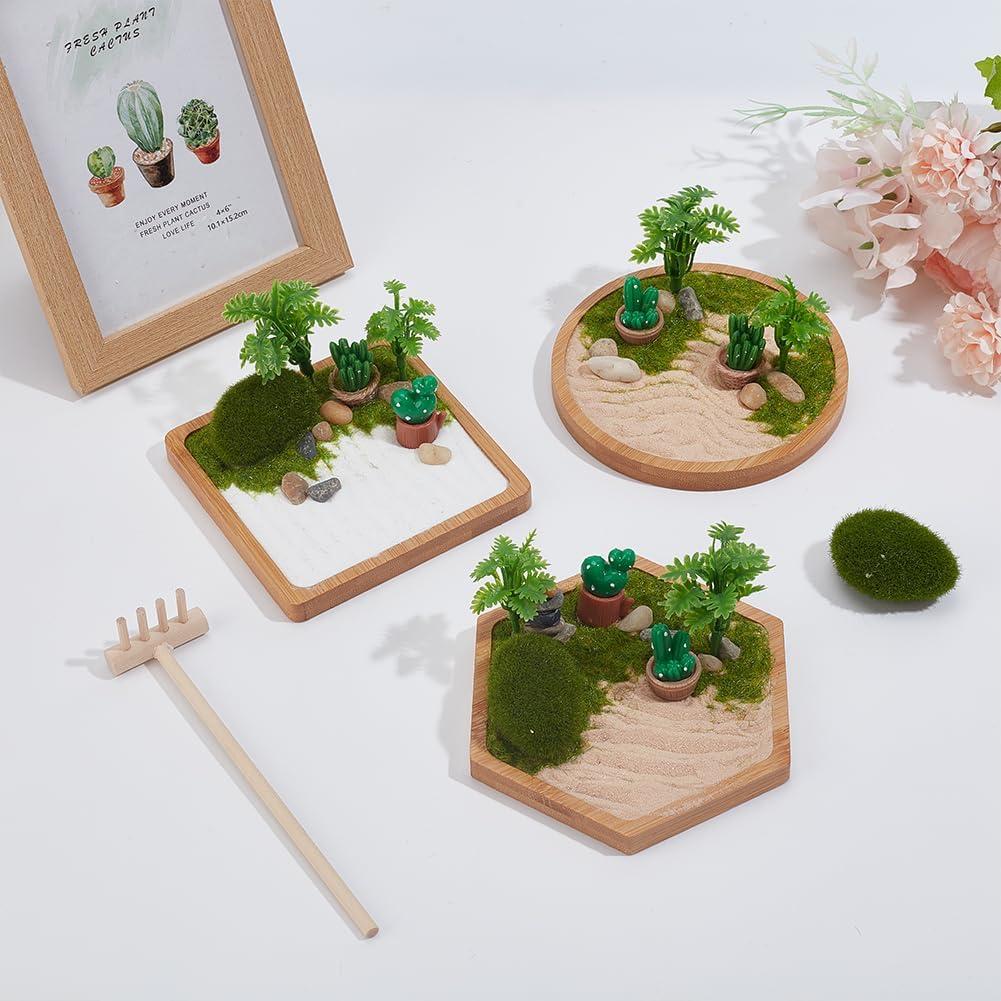 Kit Jardín Zen Desértico WEBEEDY 3 Piezas Decoración Oficina