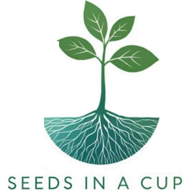 Kit de Crecimiento de Plantas de Lavanda - kb discount