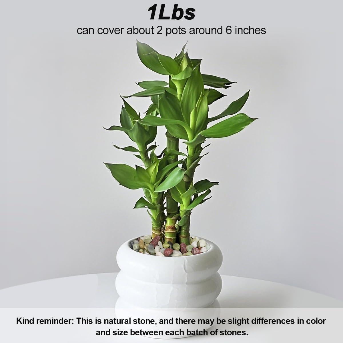 Guijarros Decorativos Virekm 0.45 kg Verde para Jardín y Acuario