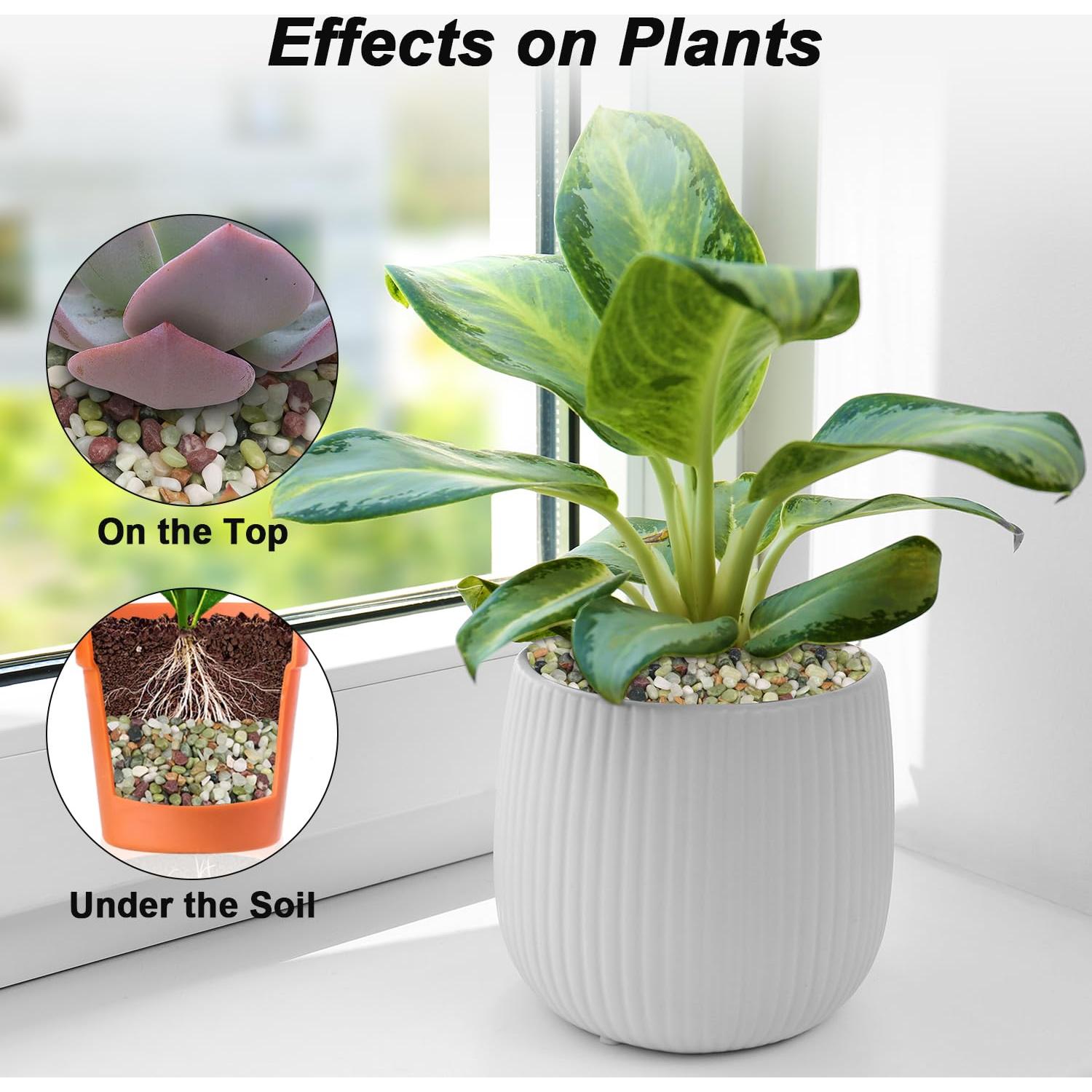 Guijarros Decorativos Virekm 0.45 kg Verde para Jardín y Acuario