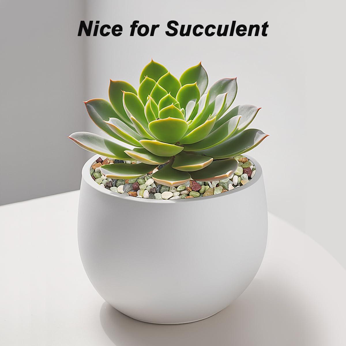 Guijarros Decorativos Virekm 0.45 kg Verde para Jardín y Acuario