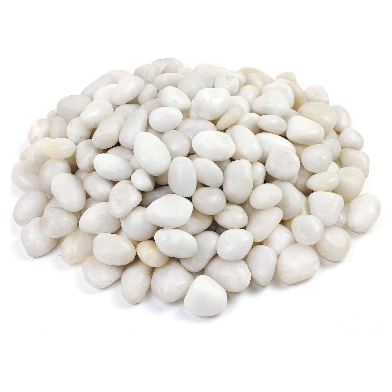 Guijarros Blancos YISZM 0.91kg para Jardinería y Acuarios