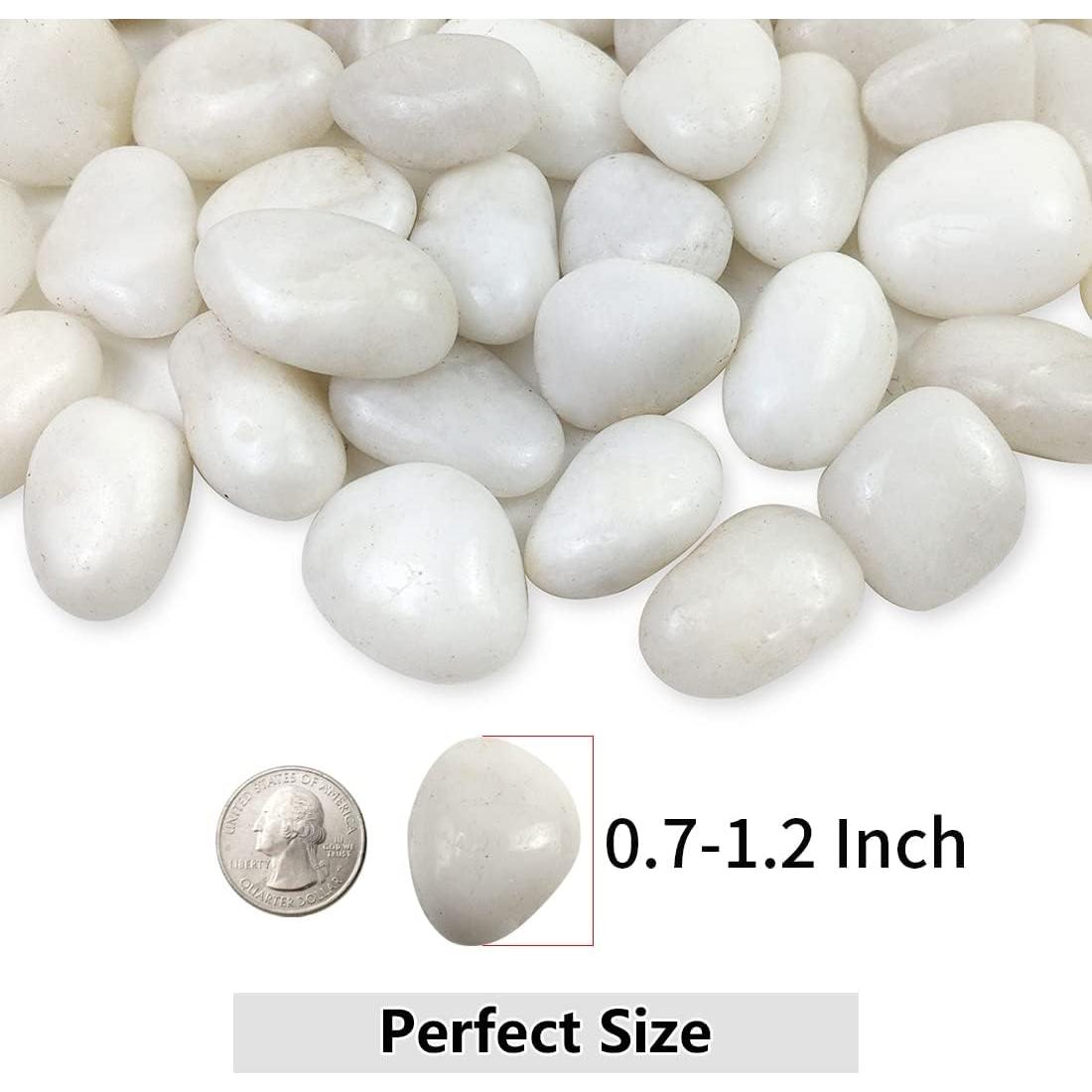 Guijarros Blancos YISZM 0.91kg para Jardinería y Acuarios