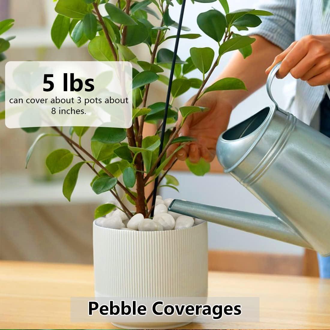 Guijarros Blancos YISZM 0.91kg para Jardinería y Acuarios