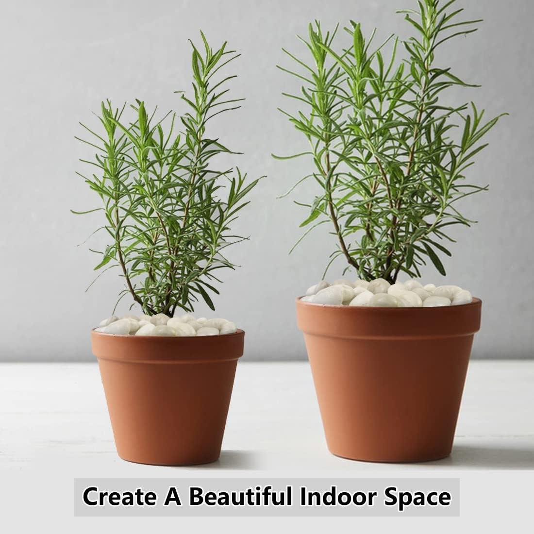 Guijarros Blancos YISZM 0.91kg para Jardinería y Acuarios