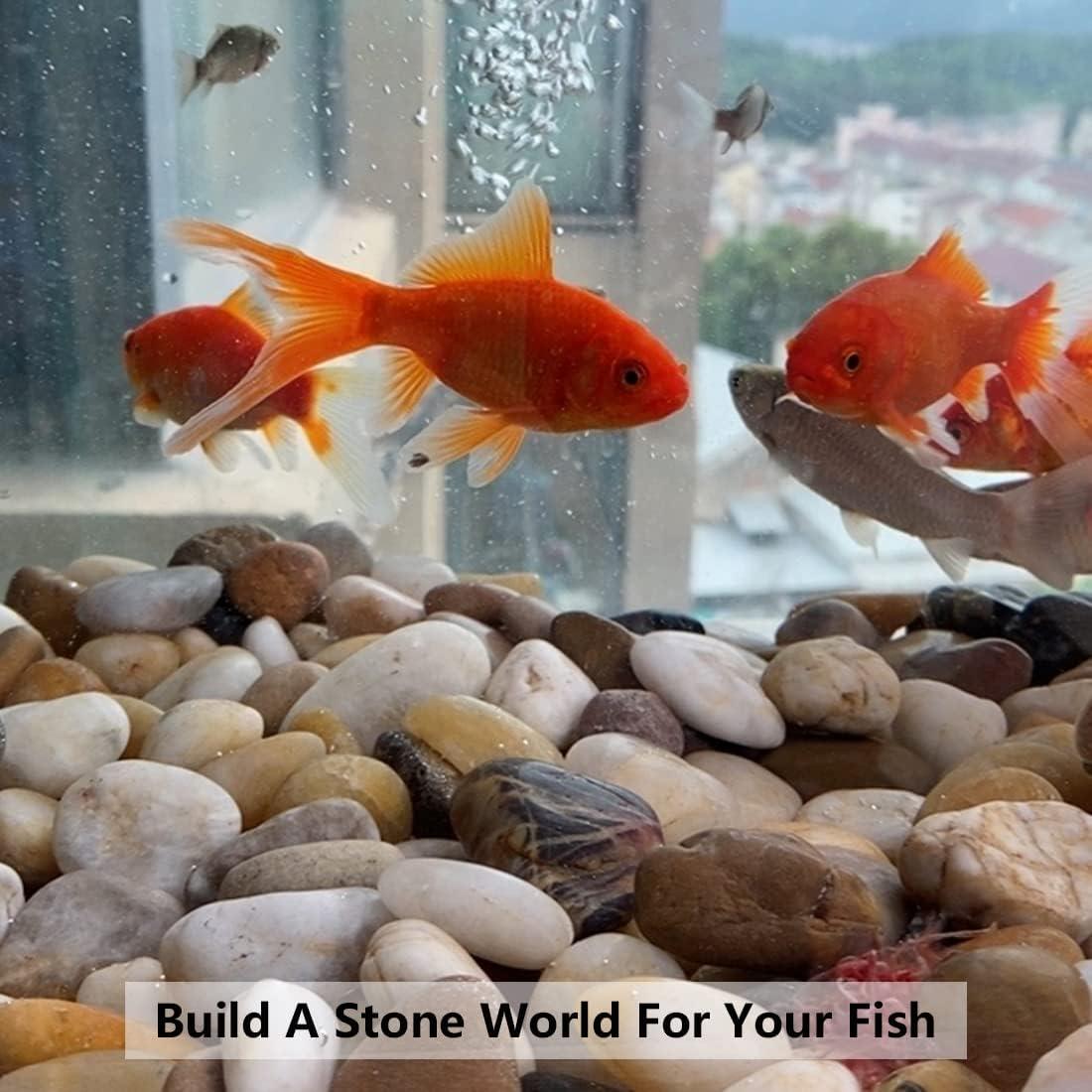 Guijarros Blancos YISZM 0.91kg para Jardinería y Acuarios