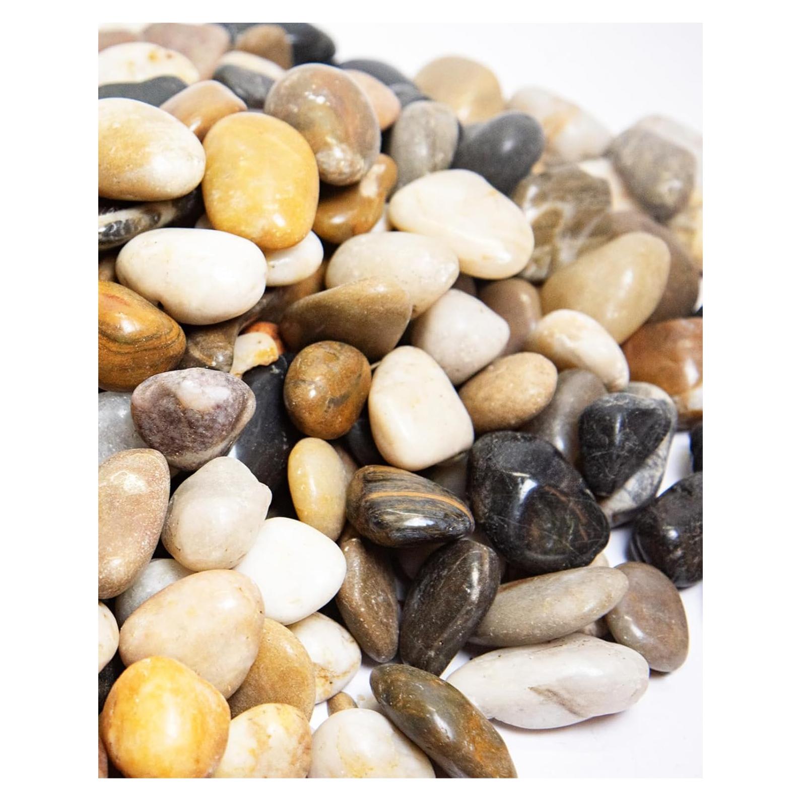 Piedras de Río Naturales 4.5 kg 2-3 Pulgadas para Jardín