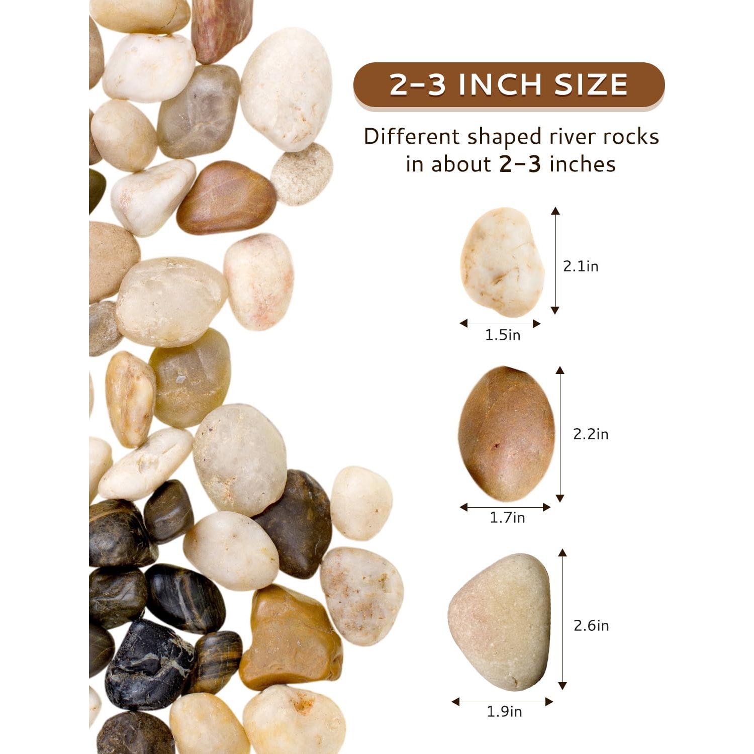 Piedras de Río Naturales 4.5 kg 2-3 Pulgadas para Jardín