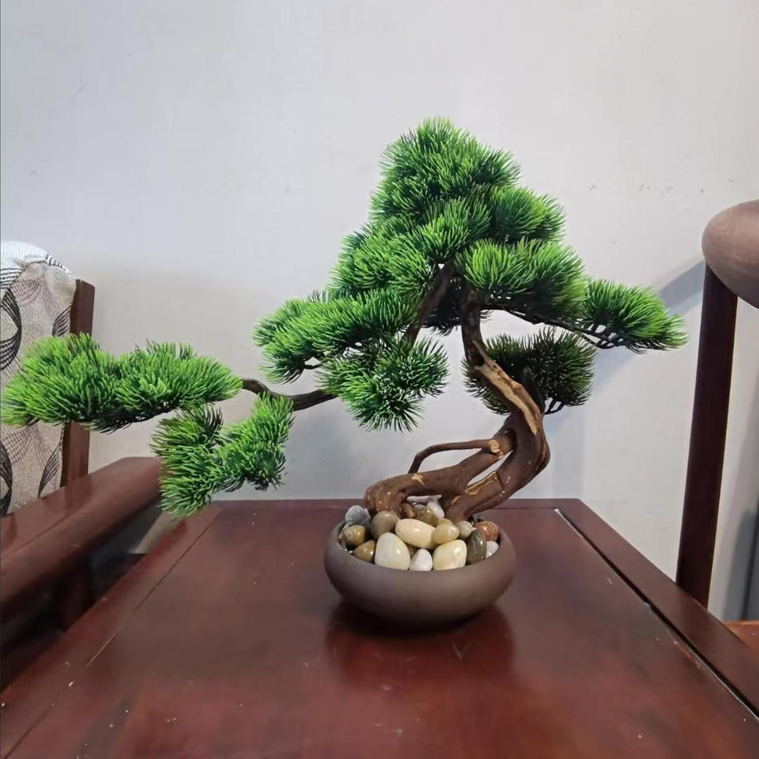 Piedras de Río Naturales 4.5 kg 2-3 Pulgadas para Jardín