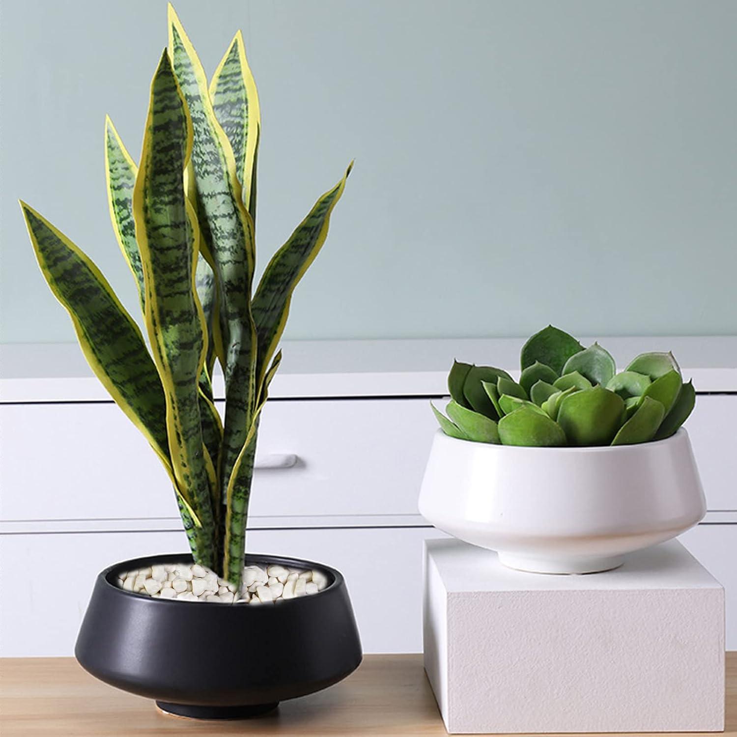 Gravillas Decorativas Blancas 1.12 kg para Terrarios y Jardines