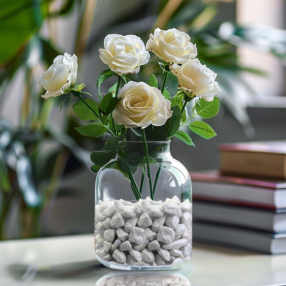 Gravillas Decorativas Blancas 1.12 kg para Terrarios y Jardines