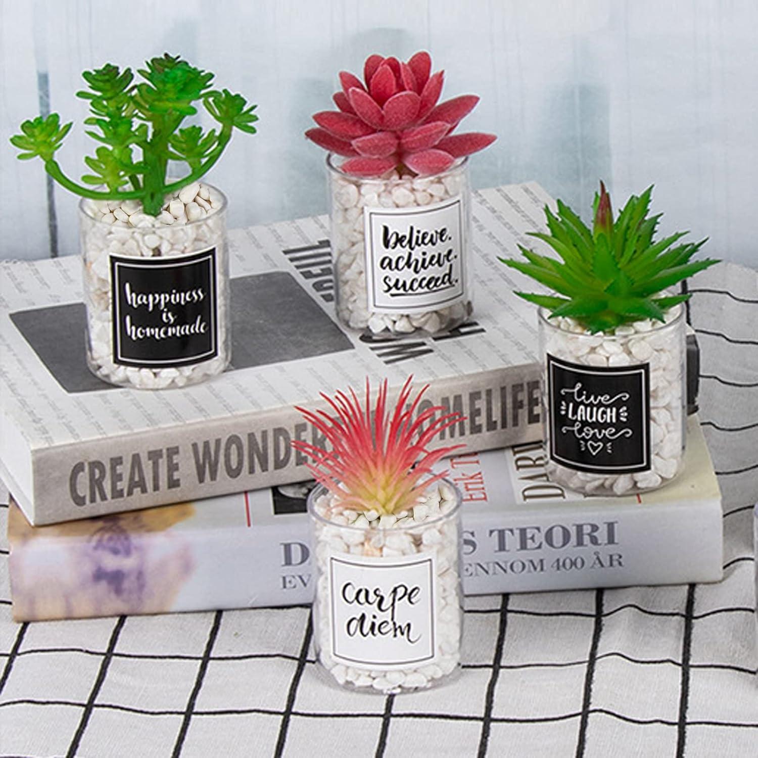 Gravillas Decorativas Blancas 1.12 kg para Terrarios y Jardines